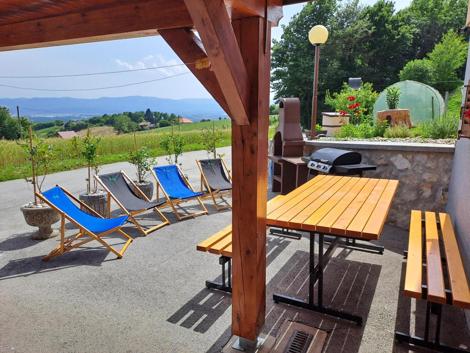 Apartments Jernej With Onsite Wellness Brežice Exterior foto